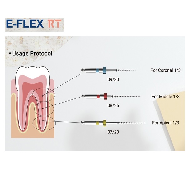E-FLEX RT Retreatment E-FLEX RT