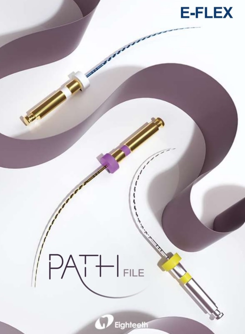 E Flex PATH File ass
