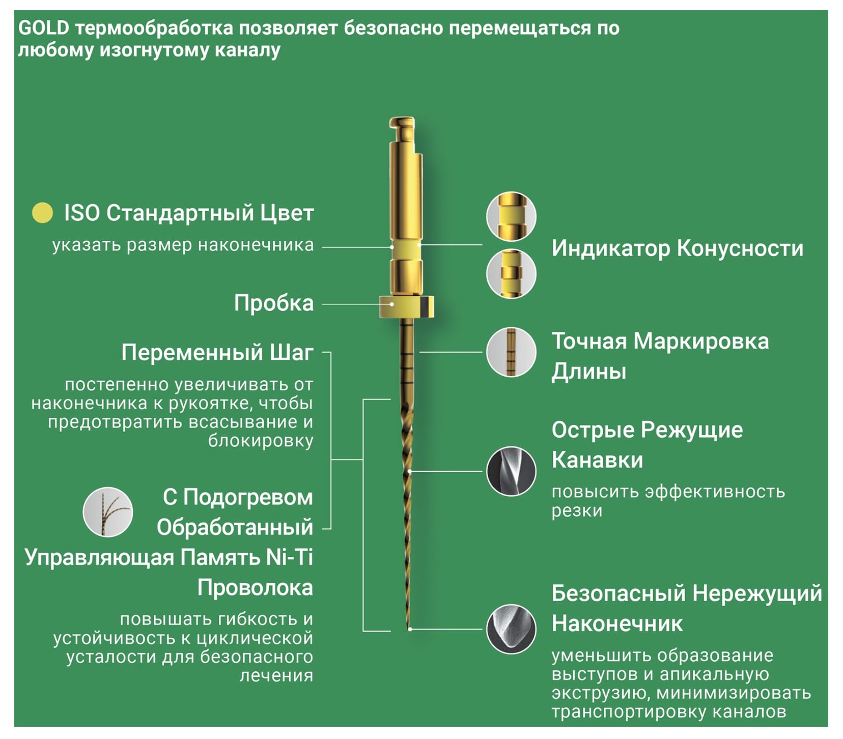 E-Flex GOLD файл